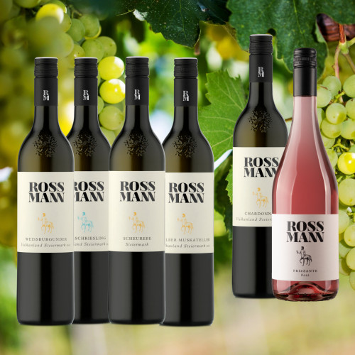 Vino Vielfalt - Frische Genussmomente