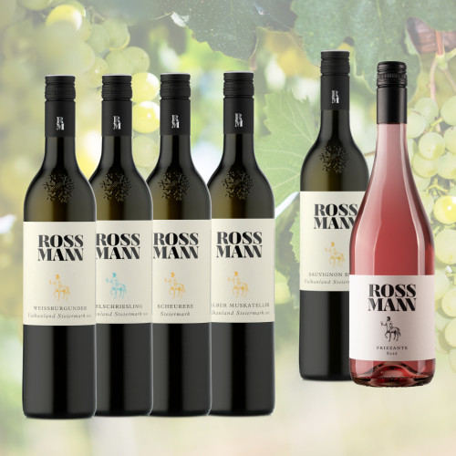 Vino Vielfalt - Frische Genussmomente